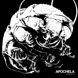 Apochela hannibal ep