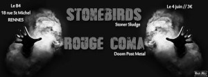 stonebirds